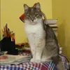 Отзыв от Яна Третьякова